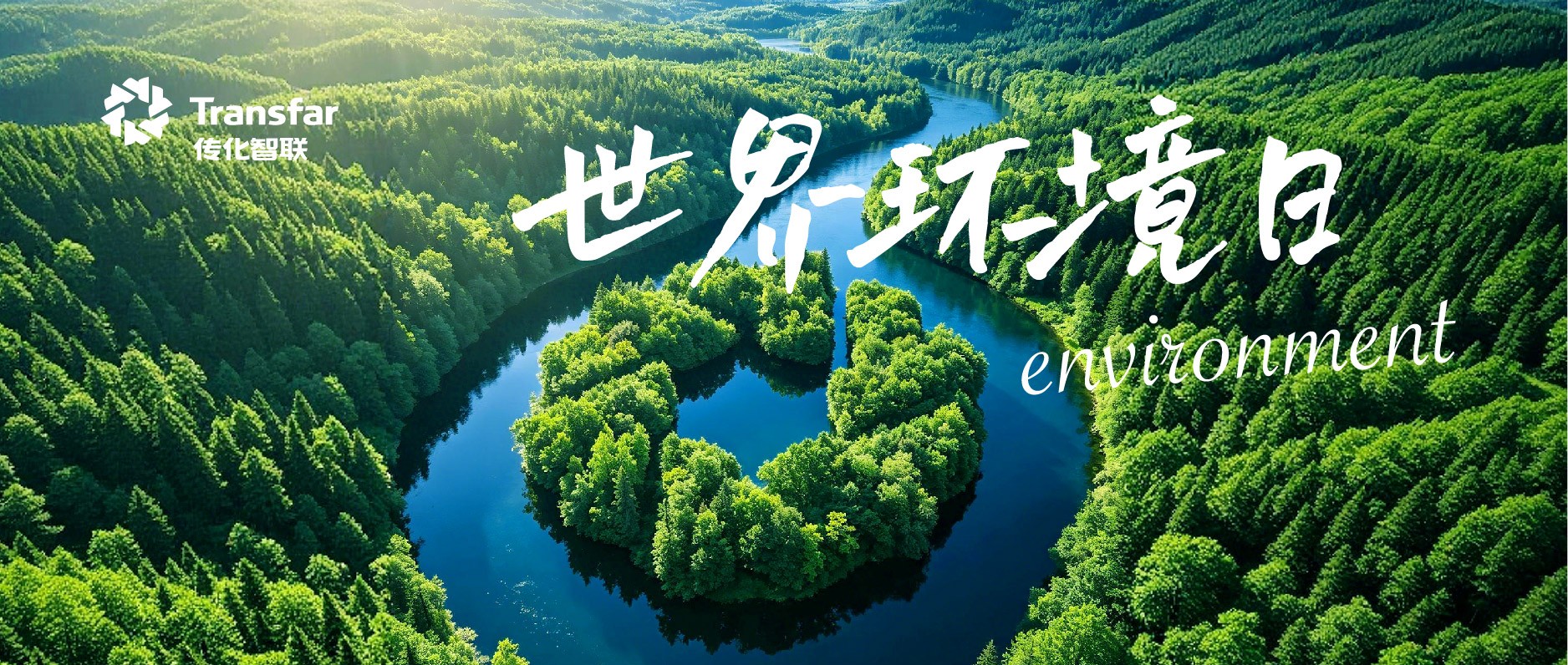 世界环境日 | 全面绿色转型，传化步履不停